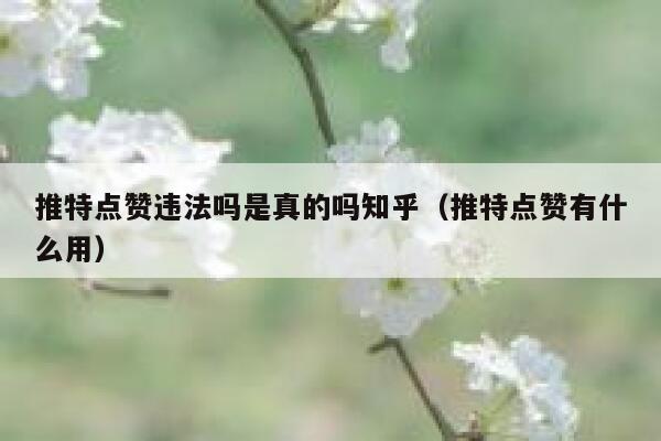推特点赞违法吗是真的吗知乎（推特点赞有什么用） 第1张