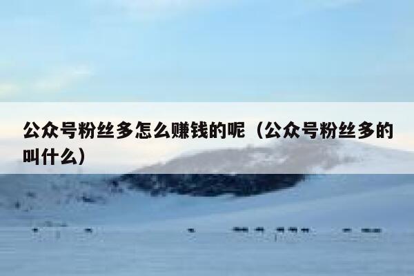 公众号粉丝多怎么赚钱的呢（公众号粉丝多的叫什么） 第1张