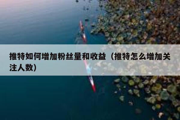 推特如何增加粉丝量和收益（推特怎么增加关注人数） 第1张