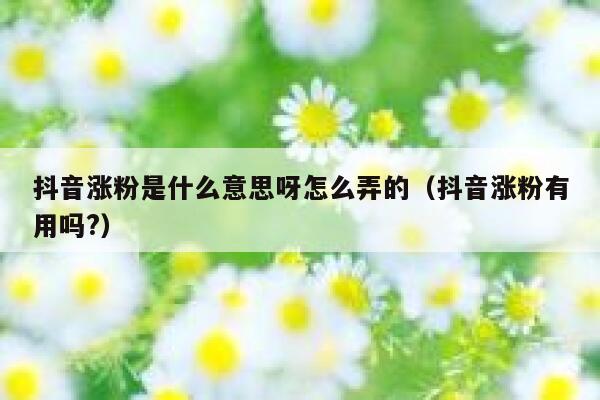 抖音涨粉是什么意思呀怎么弄的（抖音涨粉有用吗?） 第1张