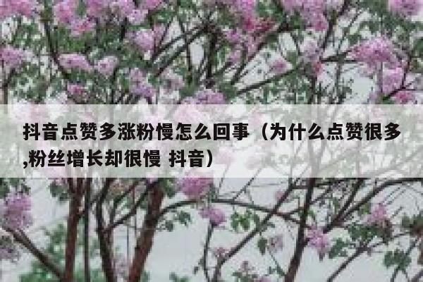 抖音点赞多涨粉慢怎么回事（为什么点赞很多,粉丝增长却很慢 抖音） 第1张