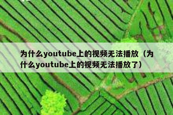为什么youtube上的视频无法播放（为什么youtube上的视频无法播放了） 第1张