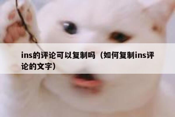 ins的评论可以复制吗（如何复制ins评论的文字） 第1张