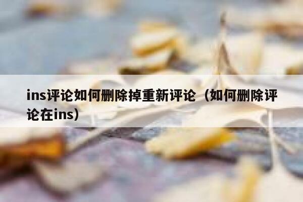 ins评论如何删除掉重新评论（如何删除评论在ins） 第1张