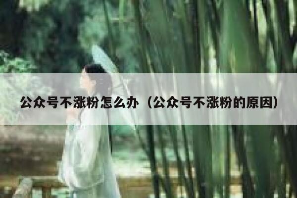 公众号不涨粉怎么办（公众号不涨粉的原因） 第1张