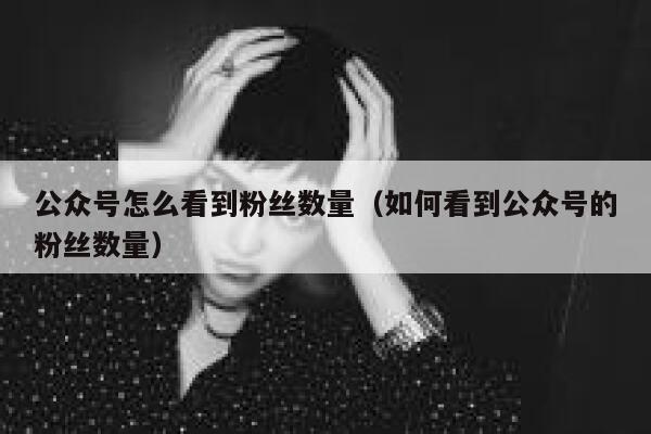 公众号怎么看到粉丝数量（如何看到公众号的粉丝数量） 第1张