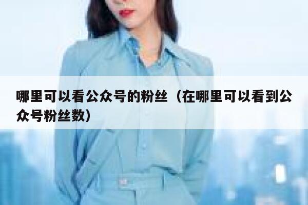 哪里可以看公众号的粉丝（在哪里可以看到公众号粉丝数） 第1张