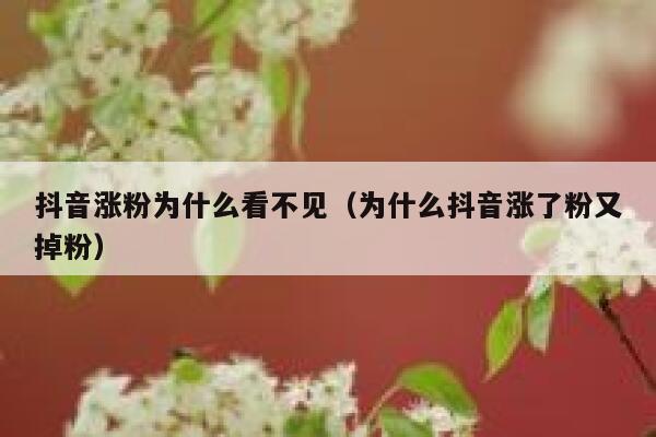 抖音涨粉为什么看不见（为什么抖音涨了粉又掉粉） 第1张
