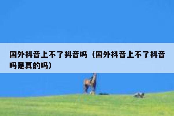 国外抖音上不了抖音吗（国外抖音上不了抖音吗是真的吗） 第1张