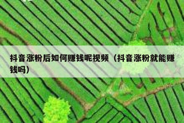 抖音涨粉后如何赚钱呢视频（抖音涨粉就能赚钱吗） 第1张