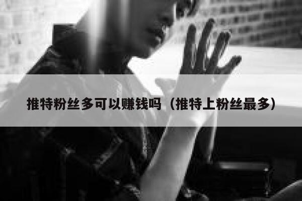 推特粉丝多可以赚钱吗（推特上粉丝最多） 第1张
