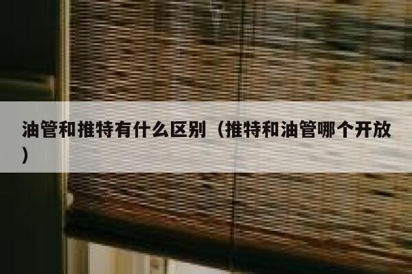油管和推特有什么区别（推特和油管哪个开放） 第1张