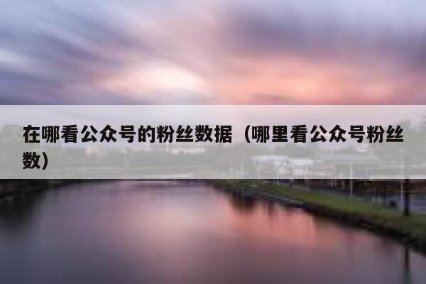 在哪看公众号的粉丝数据（哪里看公众号粉丝数） 第1张
