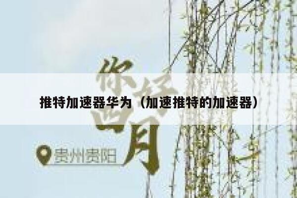 推特加速器华为（加速推特的加速器） 第1张