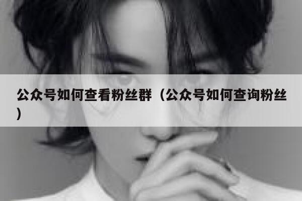 公众号如何查看粉丝群（公众号如何查询粉丝） 第1张
