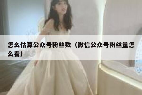 怎么估算公众号粉丝数（微信公众号粉丝量怎么看） 第1张