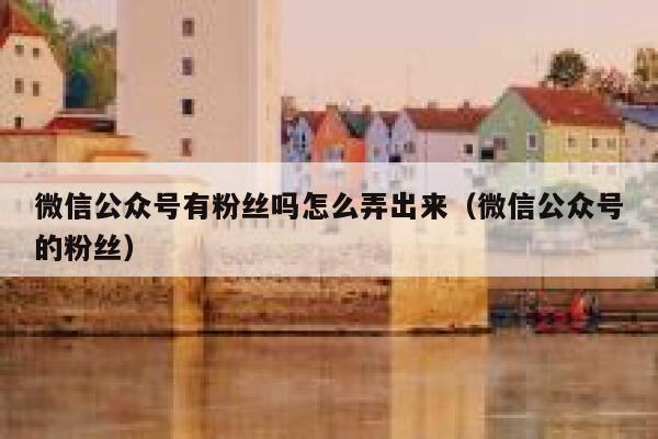 微信公众号有粉丝吗怎么弄出来（微信公众号的粉丝） 第1张
