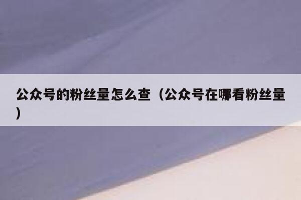公众号的粉丝量怎么查（公众号在哪看粉丝量） 第1张
