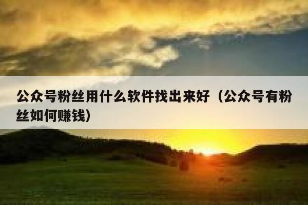 公众号粉丝用什么软件找出来好（公众号有粉丝如何赚钱） 第1张