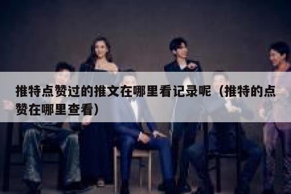 推特点赞过的推文在哪里看记录呢（推特的点赞在哪里查看） 第1张