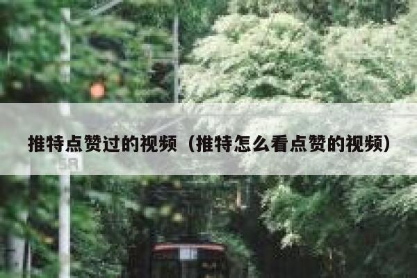 推特点赞过的视频（推特怎么看点赞的视频） 第1张