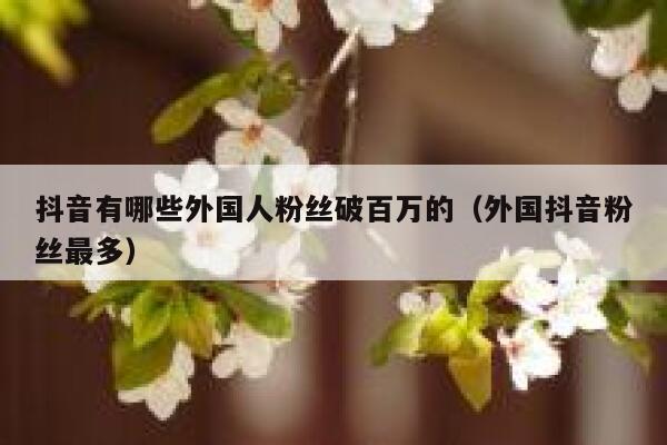 抖音有哪些外国人粉丝破百万的（外国抖音粉丝最多） 第1张