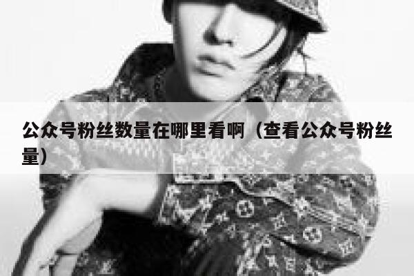公众号粉丝数量在哪里看啊（查看公众号粉丝量） 第1张
