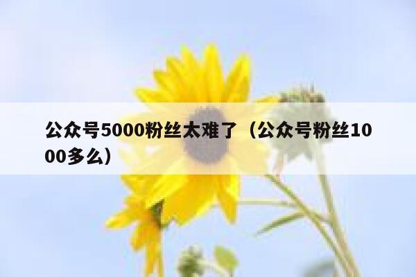 公众号5000粉丝太难了（公众号粉丝1000多么） 第1张