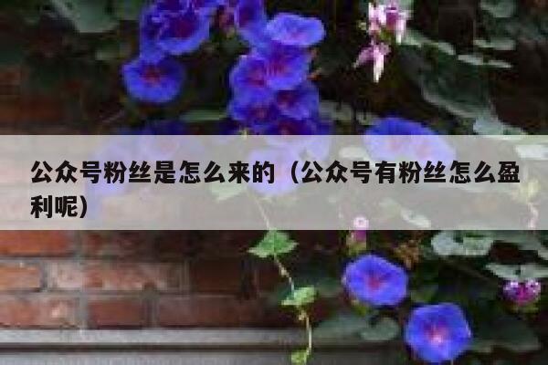 公众号粉丝是怎么来的（公众号有粉丝怎么盈利呢） 第1张