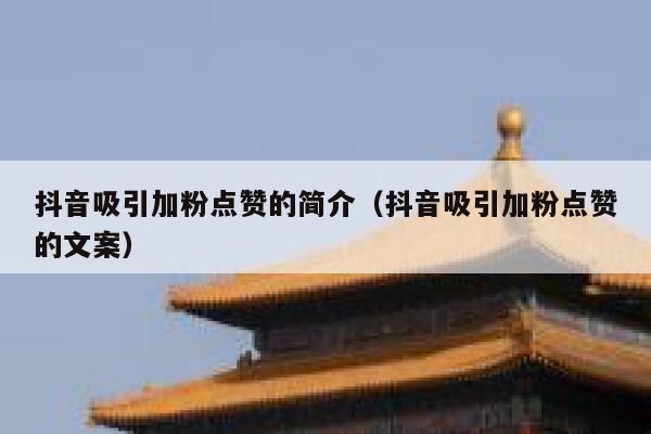 抖音吸引加粉点赞的简介（抖音吸引加粉点赞的文案） 第1张