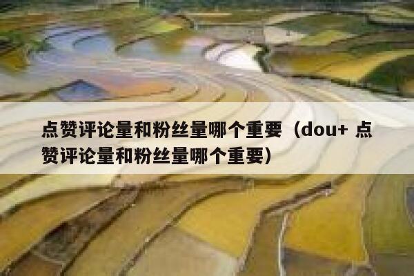 点赞评论量和粉丝量哪个重要（dou+ 点赞评论量和粉丝量哪个重要） 第1张