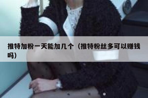 推特加粉一天能加几个（推特粉丝多可以赚钱吗） 第1张