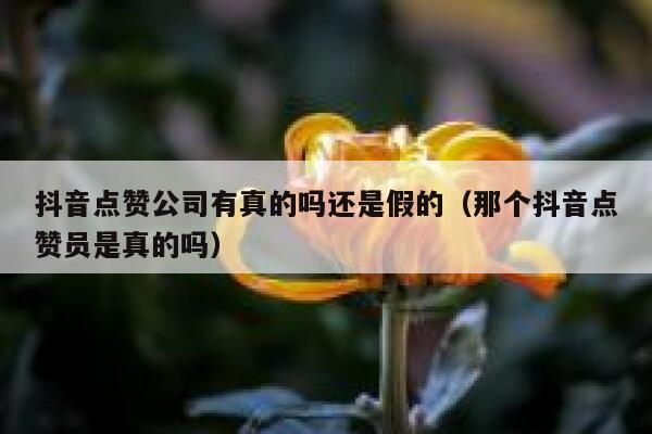 抖音点赞公司有真的吗还是假的（那个抖音点赞员是真的吗） 第1张