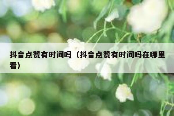 抖音点赞有时间吗（抖音点赞有时间吗在哪里看） 第1张