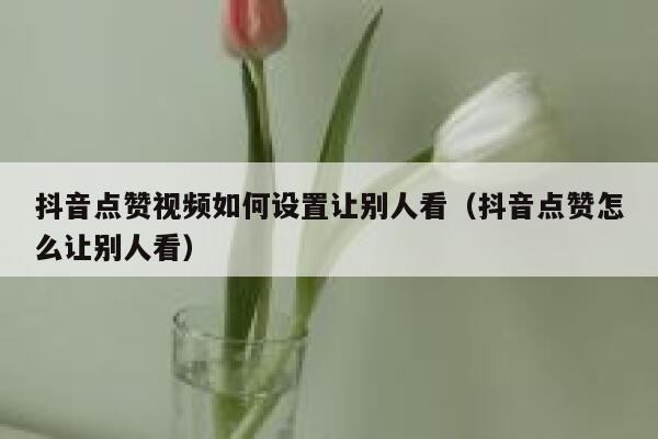 抖音点赞视频如何设置让别人看（抖音点赞怎么让别人看） 第1张