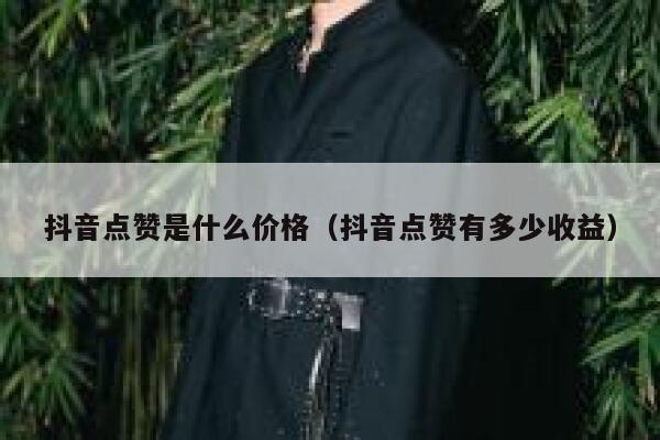 抖音点赞是什么价格（抖音点赞有多少收益） 第1张