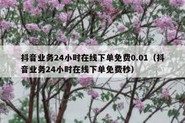 抖音业务24小时在线下单免费0.01（抖音业务24小时在线下单免费秒） 第1张