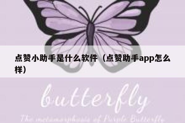 点赞小助手是什么软件（点赞助手app怎么样） 第1张