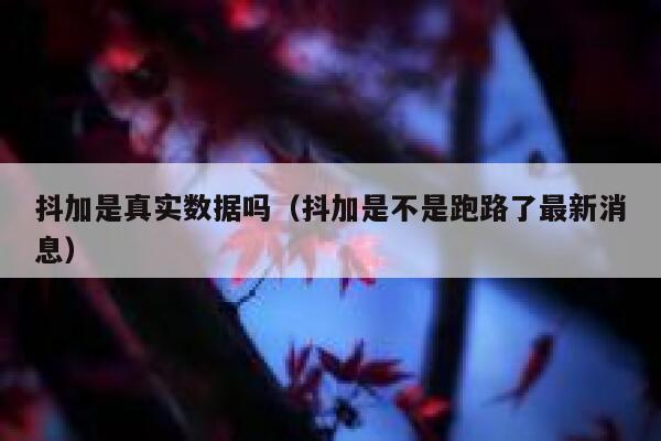 抖加是真实数据吗（抖加是不是跑路了最新消息） 第1张