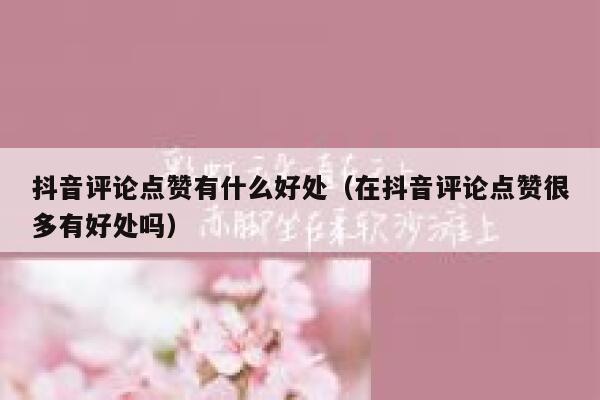 抖音评论点赞有什么好处（在抖音评论点赞很多有好处吗） 第1张