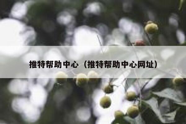 推特帮助中心（推特帮助中心网址） 第1张