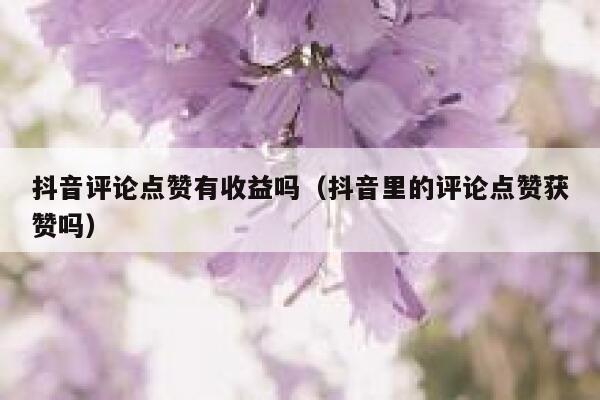 抖音评论点赞有收益吗（抖音里的评论点赞获赞吗） 第1张