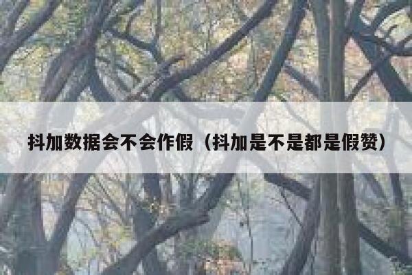 抖加数据会不会作假（抖加是不是都是假赞） 第1张
