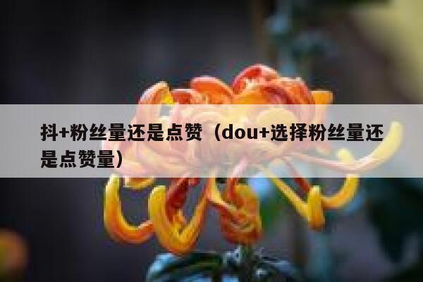 抖+粉丝量还是点赞（dou+选择粉丝量还是点赞量） 第1张