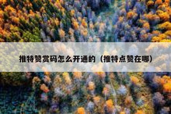 推特赞赏码怎么开通的（推特点赞在哪） 第1张
