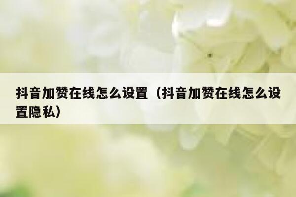 抖音加赞在线怎么设置（抖音加赞在线怎么设置隐私） 第1张