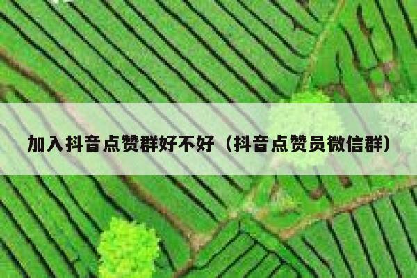 加入抖音点赞群好不好(抖音点赞员微信群) 第1张 加入抖音点赞群好不好(抖音点赞员微信群) 第1张