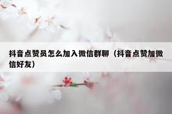 抖音点赞员怎么加入微信群聊（抖音点赞加微信好友） 第1张