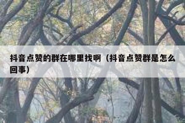 抖音点赞的群在哪里找啊（抖音点赞群是怎么回事） 第1张