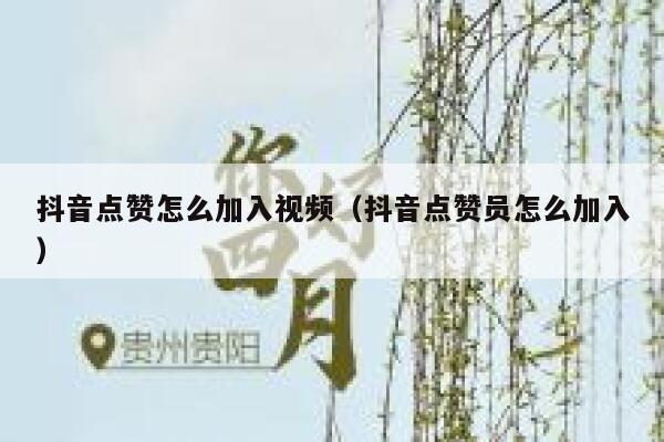 抖音点赞怎么加入视频（抖音点赞员怎么加入） 第1张